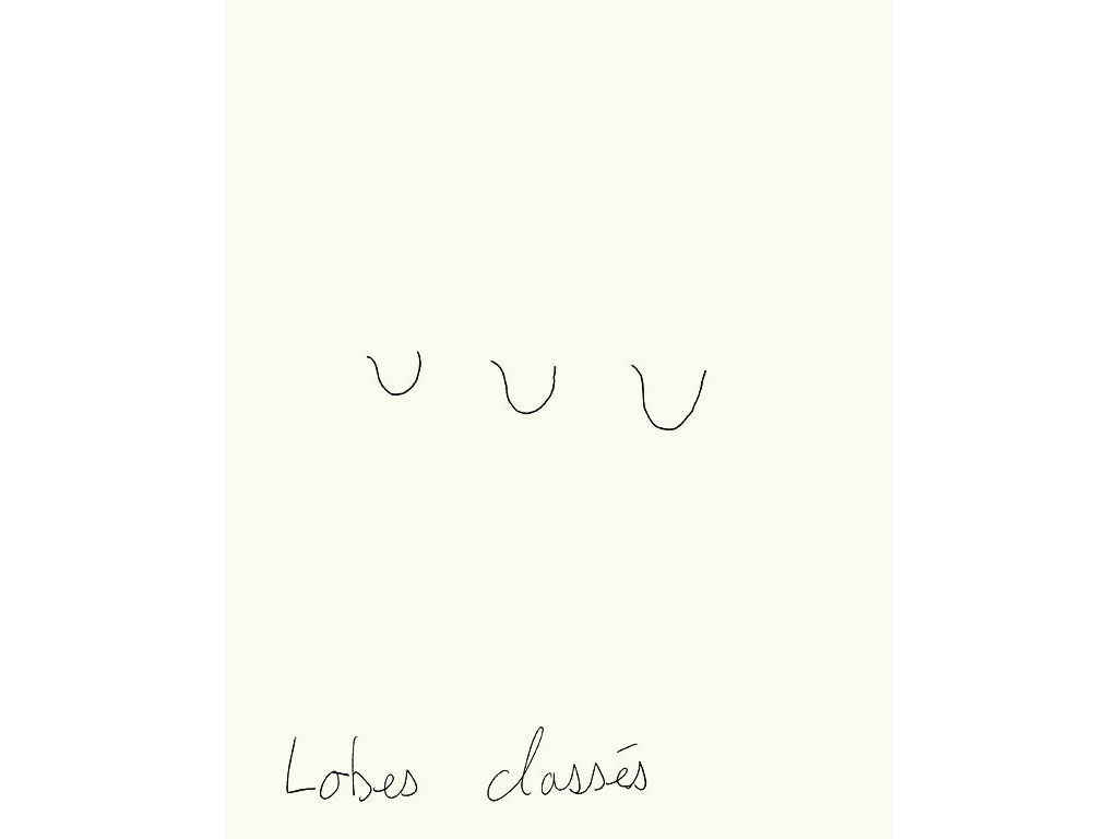 Claude Closky, ‘Lobes classés [classified lobes]’, 1996, black ballpoint pen on paper, 30 x 24 cm.